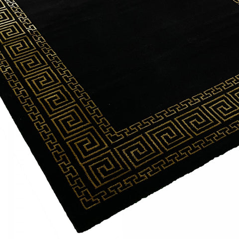 TAPIS005576