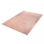 TAPIS005645