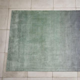 TAPIS004232