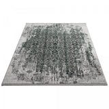 TAPIS005624