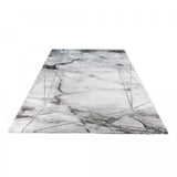 TAPIS005571