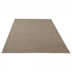 TAPIS005351